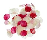 Darice RC-7209-60 Decorative Satin Loose Rose Petals, Mixed Petals, 100-Pack by Darice