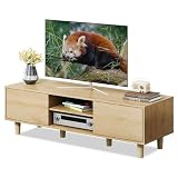 WLIVE テレビ台 扉付き テレビボード ローボード 幅120cm tv台 ロータイプ tv台 収納 大容量 tvボード 32型対応 45型対応 avボード 木製 おしゃれ リビング 寝室 ADSG620 ナチュラル