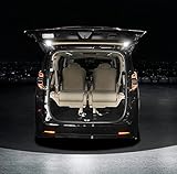 アルファード30系 ルームランプ 車内ランプ ラゲッジランプ ラゲッジ増設ユニット 内装 パーツ カプラーオン タッチオンオフLED点灯ホワイト 車パーツ 専車専用 ALPHARD/VELLFIRE [並行輸入品] (アルファード30系)