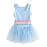 Kid幼児用ベビーガールズ水着チュールチュチュドレス水着One Piece Bathing Suit カラー: ブルー