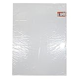 アクリサンデー 発泡スチレンボード B2サイズ 550mm×800mm 板厚 1mm 白 (紙貼タイプ) HS-K100 カミ550X800X1