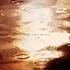 ACIDMAN「Under the rain」