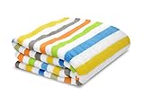 Little Starter Plush Toddler Blanket, Multi Stripe by Little Starter