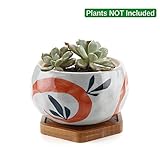 T4U 11CM 陶器鉢 和風-紅草 多肉植物 サボテン鉢 植木鉢 竹製トレイ付き