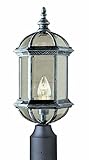 Trans Globe Lighting 4186 BK 19-3/4-Inch 1-Light Outdoor Post Top Lantern, Black [並行輸入品]