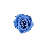 florever　フロールエバー　フレッシュルックメディアナローズ　プリンセスブルー　8輪　Φ4～5cm　 プリザーブドフラワー　Mediana Rose　Princess Blue