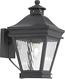 Elk 5720-C 8 by 13-Inch Landings Water Glass 1-Light Outdoor Wall Lantern, Charcoal Finish [並行輸入品]