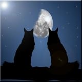 Rikki KnightブラックCats onブルーデザインアートセラミックタイル4 by 4インチ、