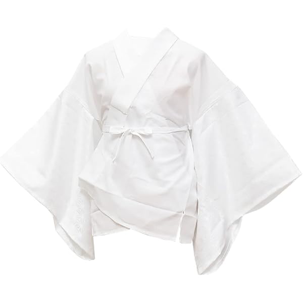 Amazon | [和ごころきもの屋] 夏用 半襦袢 レース袖【絽】 日本