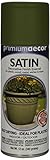 General Paint & Manufacturing PDS-153 Premium Decor Satin Enamel Spray Paint with 360-Degree Spray T