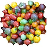 Amazon Rosepoem 100ピース非常に珍しい輸入虹トマト種子盆栽果物 野菜の種子非gmo家庭の鉢植え 野菜
