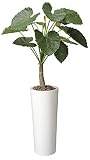 造花アート・観葉植物　アートクワズ芋1.8＜ 自宅のインテリア 店内の装飾 プレゼントに ＞