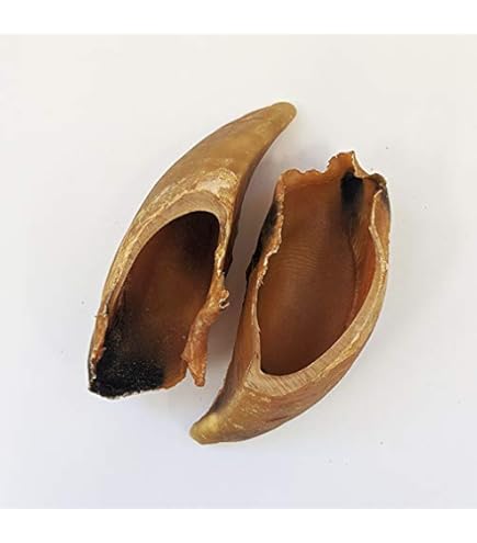 犬用■牛ヒヅメ・シュリンクスモーク 牛のヒヅメ スモーク【2個】袋入り【宅配便発送】天然素材 個