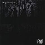 Fragments of the dark