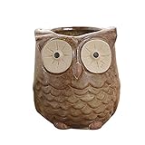 多肉植物 植木鉢 漫画フクロウの形 セラミック ミニ