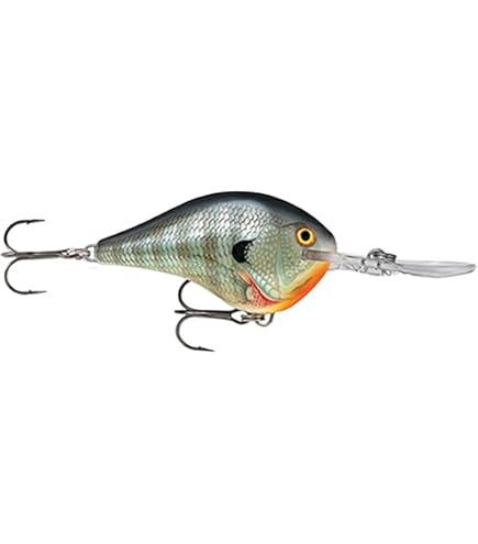 Amazon.co.jp: Rapala(ラパラ) クランクベイト DT ダイブストゥ