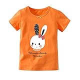 AIKSSOO ベビー服 tシャツ 女の子 半袖 かわいい 丸首 新生児 肌着 普段着 おしゃれ size 18M (オレンジ ラビット)