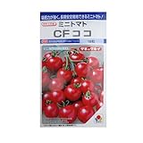 CFココ タキイのミニトマト種子です