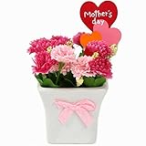 母の日 花ギフト 母の日 カーネーション鉢植え造花母の日パッケージでプレゼントに最適(ピンク） 花 ギフト プレゼント 誕生日プレゼント 発表会 贈り物 母の日 早割/母の日 プレゼント/母の日ギフト