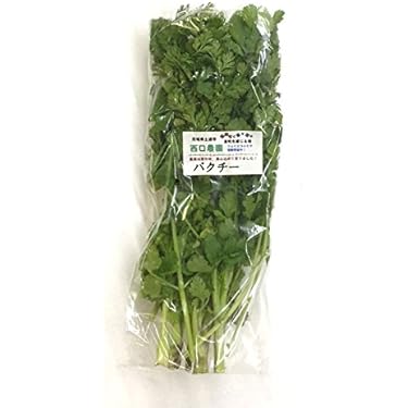 クール便　新鮮　パクチー　2Kg 愛知県産 新鮮パクチー(香菜)2000g （愛知県産 新鮮パクチー