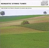 �A���_���e�E�J���^�[�r���`���}���e�B�b�N�E�X�g�����O�X