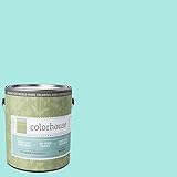 Inspired Eggshell Interior Paint, Sprout .01, Gallon [並行輸入品]