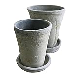 COVENT GARDEN コケグレートール・2点セット QX-05