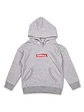 (エックスガール ステージス) X-girl Stages XGIRL&CO 長袖ﾌﾟﾙｵｰﾊﾞｰｽｳｪｯﾄ 90cm グレー