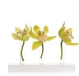 Chive, Calla, 3-Hole, Silver Vase [並行輸入品]