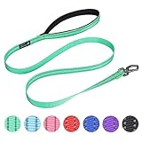 EXCELLENT ELITE SPANKER リード 犬反射ナイロン犬リードパッド1.5米ナイロン犬リード中小犬の散歩リード 訓練 (2 CM, グリーン)