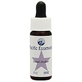 パシフィックエッセンス/シーエッセンス(キット4)[サンドダラー]