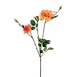 ローズスプレーX5(L) FXFR0010SA