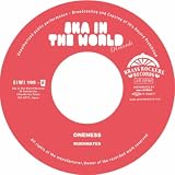 ONENESS/Anti Waste Monster