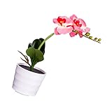 Baoblaze 人工花植物光　防水　布とプラスチック　LED　ワイヤレス　太陽光発電　ホームの装飾　　全３色 - ピンク