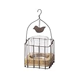 Paseo Wire Cage w/glass DR-12