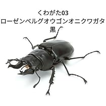 水彩画 オオゴンオニクワガタ　1 maxres2.jpg?sqp=-