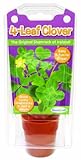 Dunecraft 4-Leaf Clover Science Kit [並行輸入品]