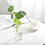 Firlar ミニ観葉植物 丸葉 蓮の葉 造花 観葉植物 CT触媒　インテリア 飾り 人工 フェイク グリーン 植物 お誕生日 お祝い ギフト プレゼント　10本