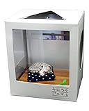 プラッツ CATB-12 みにちゅアニマル モコ