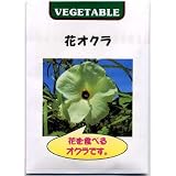[野菜タネ]花オクラ（トロロアオイ）の種 2袋セット ノーブランド品