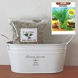 チャイブの栽培セット/標準セット（液体肥料なし）プランターホワイト仕様