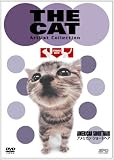 THE CAT �`�A�����J���E�V���[�g�w�A�`