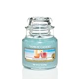 Yankee Candle Bahama Breeze Small Jar Candle, Fruit Scent by Yankee Candle