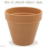 イタリア製テラコッタ鉢 スタンダードポット 21cm