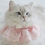 WEILFYONK 猫犬首輪猫唾液タオル首輪猫服犬服手作りレースペットアクセサリー写真背景ペット用品可愛い和風結婚リボン貴族風刺繍レース猫用首輪ネックレスリボン犬首輪 (M, グリーン)