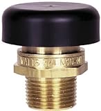 WATTS BRASS & TUBULAR LFN36-M1 1/2 Water Relief Valve, 1/2-Inch [並行輸入品]