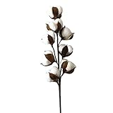 Healifty 56センチメートル8コットンボウルコットンステムの分岐花嫁の花の装飾花嫁のスタイルのディスプレイとウェディングホームオフィスの装飾