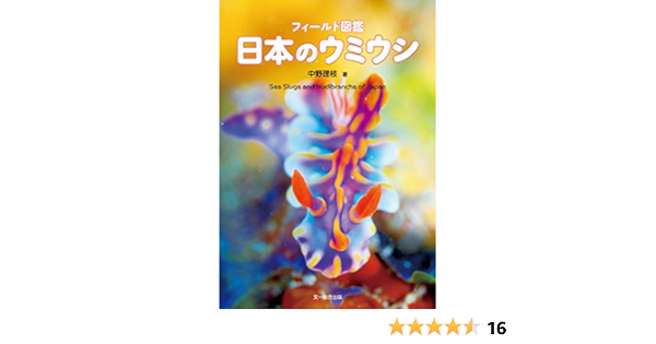 フィールド図鑑 日本のウミウシ 中野 理枝 本 通販 Amazon