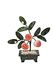 Feng Shui Jade Stone Peach Longifety Tree [並行輸入品]