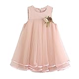 2-7歳の幼児の赤ちゃんのシフォンドレスノースリーブドレープドレスブローチ夏の結婚式のパーティー祭りのドレス (5-6歳, ピンク)